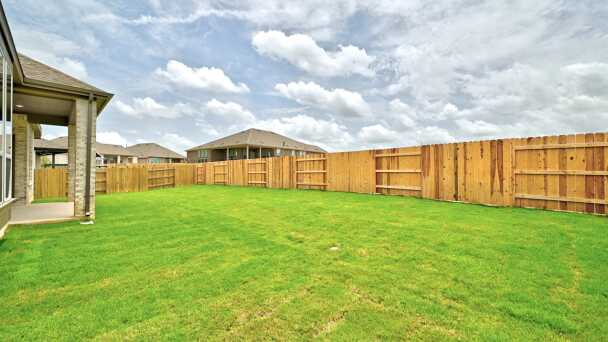 Backyard