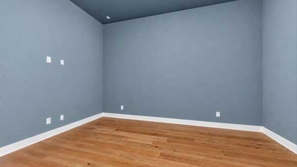 Entertainment Room