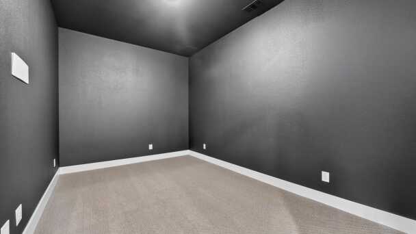 Entertainment Room