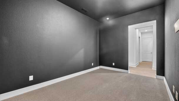 Entertainment Room