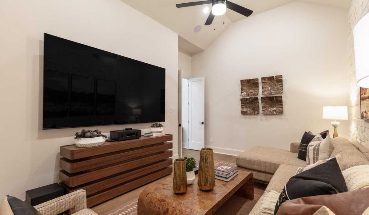 Entertainment Room