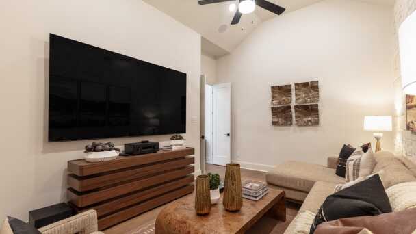 Entertainment Room