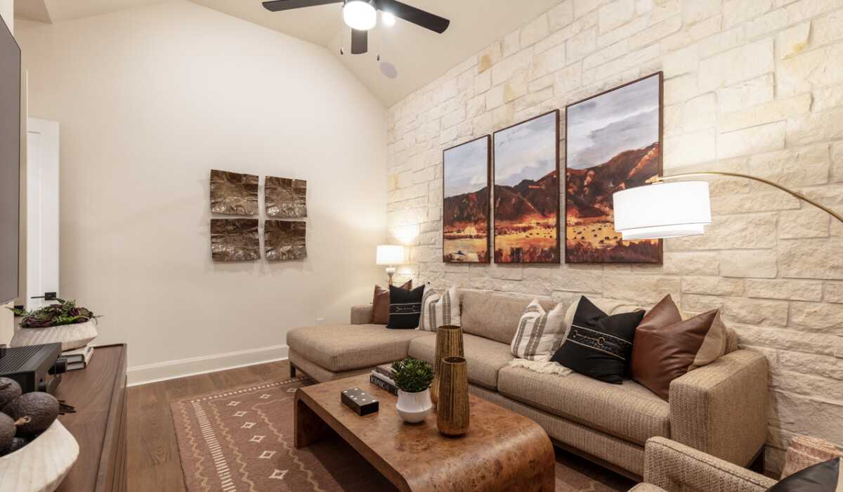 Entertainment Room