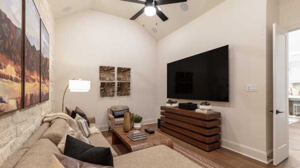 Entertainment Room