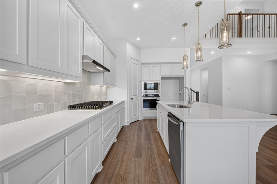 Richmond at 16557 Japanese Maple Drive, Fort Worth, Texas: photo 3